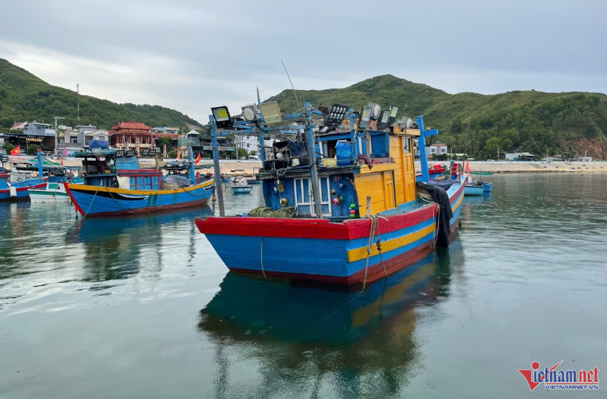 Sau hợp nhất, Cà Mau sẽ là trung tâm thủy sản của quốc gia